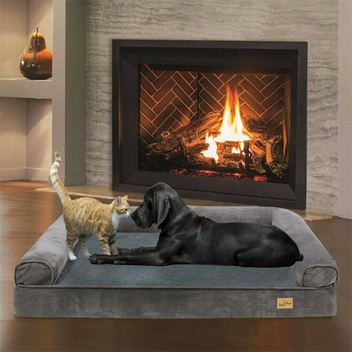 Xxxl elevated dog bed frame - elevated,