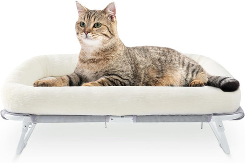 Raised cat beds for indoor - beds,