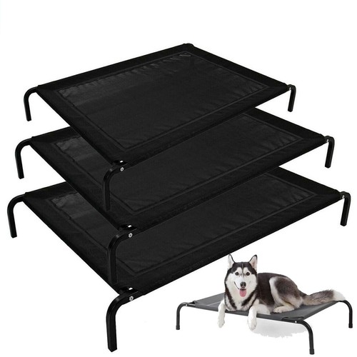 Elevated dog bed pet - dog,
