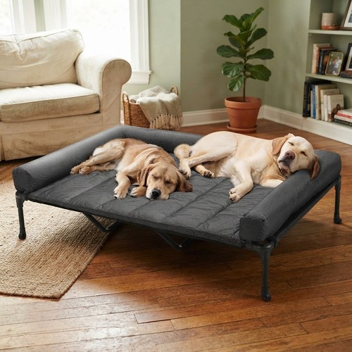 Xxl elevated dog - bed, large