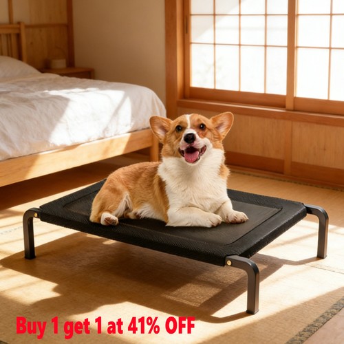 High raised dog bed - high, elevated