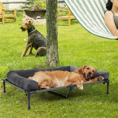 Folding dog cot cooling - dog,